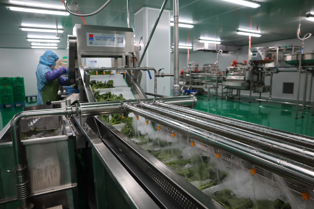 农产品冷链与加工:环环相扣的质量溯源技术